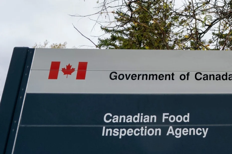 Egg items are being pulled from shelves in Ontario and Quebec following a Salmonella alert