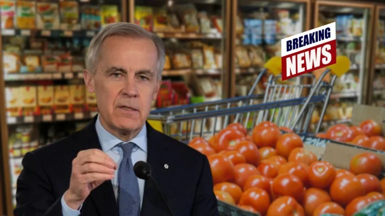 Carney Announces New Grocery Benefit and Cost-Relief Measures