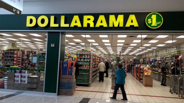 Dollarama : les produits pour animaux à privilégier et ceux à éviter