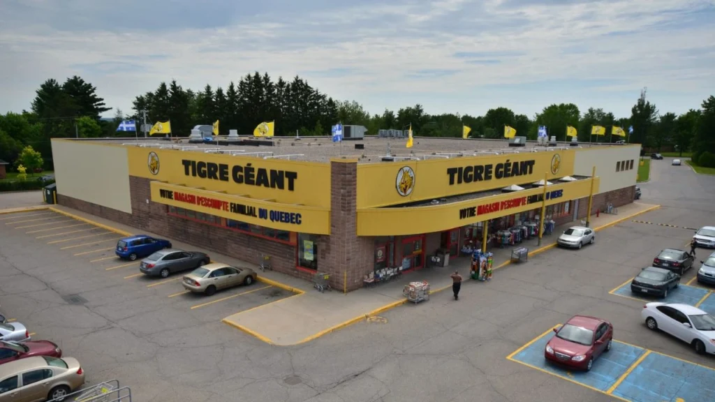 11 idées déco chez Tigre Géant à partir de 6 $ pour une ambiance estivale