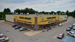 11 idées déco chez Tigre Géant à partir de 6 $ pour une ambiance estivale