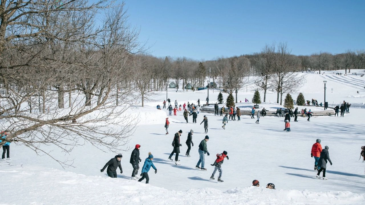 Parc du Mont-Royal activités en plein air panoramas et sports d’hiver à Montréal