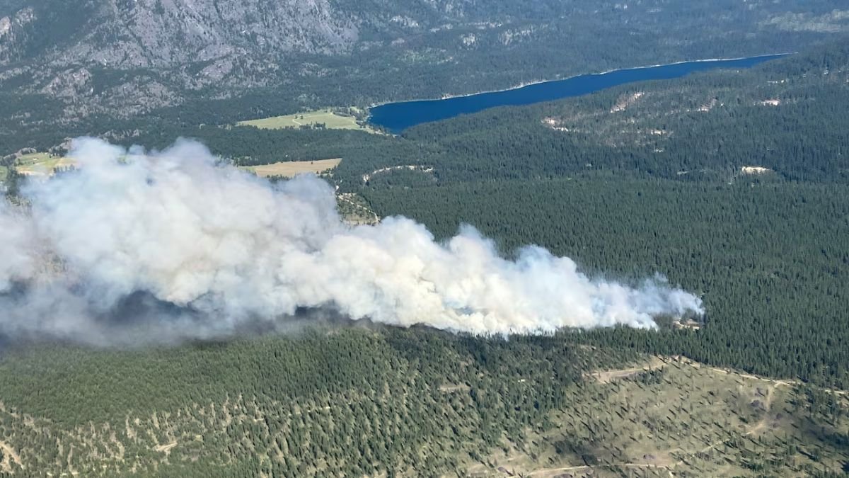 Evacuation Alert Issued for East Kootenay Wildfire as Brunswick Creek Fire Grows, Officials Say