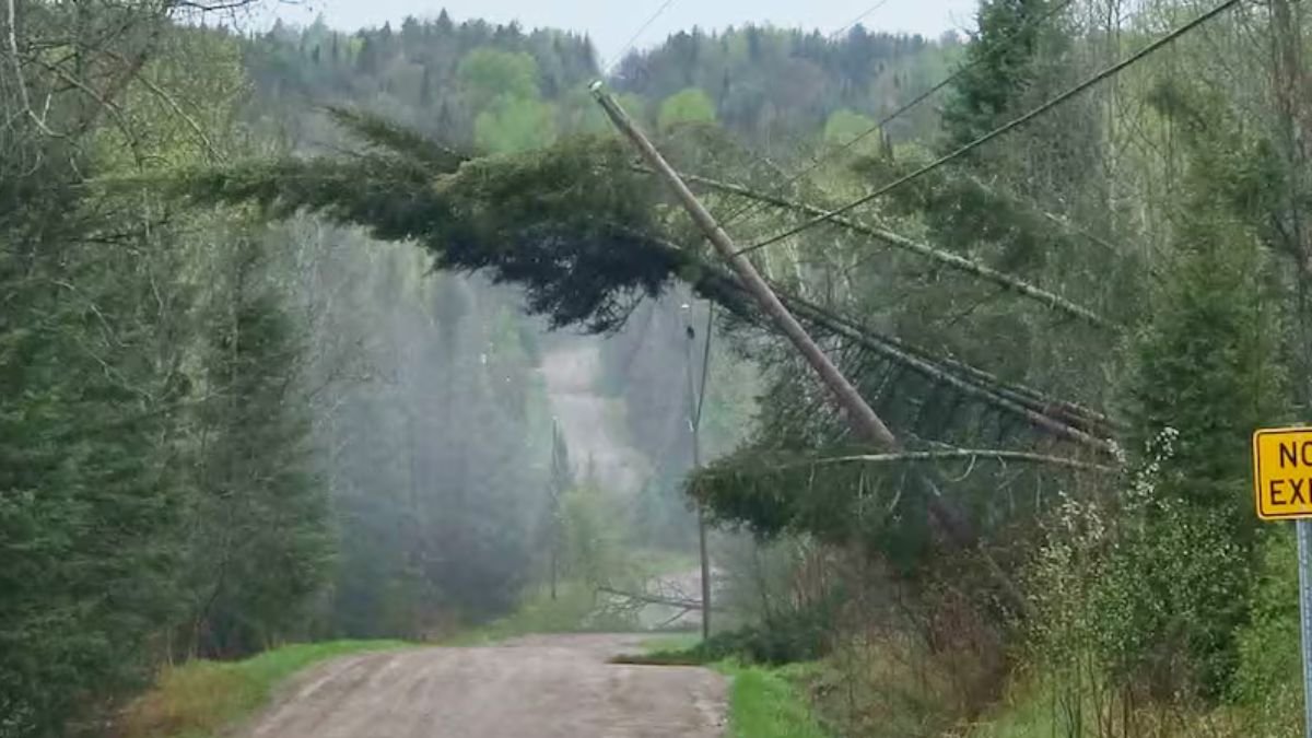 Massive Canada Day Storm Knocks Down Trees and Cuts Power Across Region